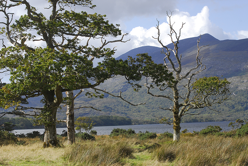 Killarney Nationalpark farbspektrum Killarney Nationalpark