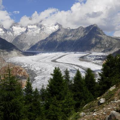 Aletschgletscher